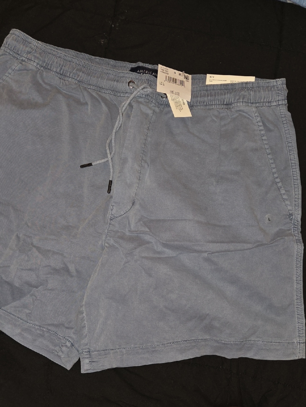 American Eagle Outfitters Light Blue Men's Drawstring Shorts